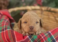 processed/578ec17b-f991-4ba1-93f5-ae89bd4d0b81/listing/2f46f039-4518-415e-8abc-3485854d3da8/b5eece00-b132-4261-a849-6cd221140a93