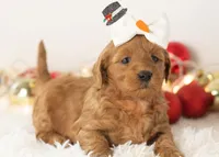 processed/578ec17b-f991-4ba1-93f5-ae89bd4d0b81/listing/3c113280-3dd5-403f-a2a7-3c4a3fe0217e/61a94831-a864-4f60-9716-8dc419ae29b2