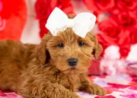 processed/578ec17b-f991-4ba1-93f5-ae89bd4d0b81/listing/3c113280-3dd5-403f-a2a7-3c4a3fe0217e/82772197-145d-4174-a288-2316e6ad9e1b