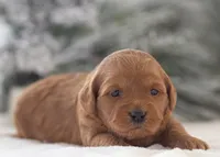 processed/578ec17b-f991-4ba1-93f5-ae89bd4d0b81/listing/3c113280-3dd5-403f-a2a7-3c4a3fe0217e/95e451f4-4d14-4875-b429-9cb303ee7b0d