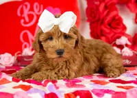 processed/578ec17b-f991-4ba1-93f5-ae89bd4d0b81/listing/3c113280-3dd5-403f-a2a7-3c4a3fe0217e/ed17101e-e9a7-46d4-b9c5-47f8504349d7