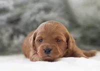 processed/578ec17b-f991-4ba1-93f5-ae89bd4d0b81/listing/3c113280-3dd5-403f-a2a7-3c4a3fe0217e/f575c5d8-915d-4bce-a502-6a733ffa493c