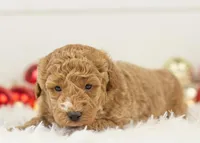 processed/578ec17b-f991-4ba1-93f5-ae89bd4d0b81/listing/53b06545-cd87-4afa-a7fc-09472b56408e/6e302d42-d33c-4f6a-85be-63ea5923a95e