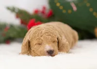 processed/578ec17b-f991-4ba1-93f5-ae89bd4d0b81/listing/53b06545-cd87-4afa-a7fc-09472b56408e/a9494a79-c007-4ded-8d75-6a1c9edbbfb4