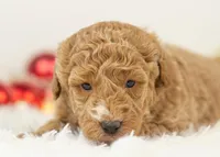 processed/578ec17b-f991-4ba1-93f5-ae89bd4d0b81/listing/53b06545-cd87-4afa-a7fc-09472b56408e/b0601bca-84c6-44a5-b942-56c38fa66dad