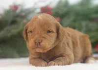 processed/578ec17b-f991-4ba1-93f5-ae89bd4d0b81/listing/779e1e91-3d96-45fd-bcf0-2068c0037f34/5061d1a3-a55d-4cc5-9c74-158889570261