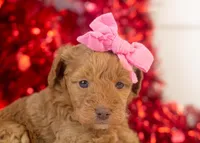 processed/578ec17b-f991-4ba1-93f5-ae89bd4d0b81/listing/779e1e91-3d96-45fd-bcf0-2068c0037f34/87973432-593a-4ddd-bd34-e6592763b6fd