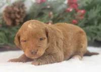 processed/578ec17b-f991-4ba1-93f5-ae89bd4d0b81/listing/779e1e91-3d96-45fd-bcf0-2068c0037f34/c20eb8cc-0190-4d3c-916d-b23e7786fc54