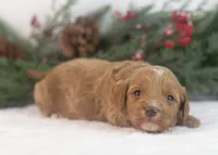 processed/578ec17b-f991-4ba1-93f5-ae89bd4d0b81/listing/83062401-93f0-47db-a766-3f4bca3222bc/cbf5b2de-75a6-410b-b594-41e8e450f1ad