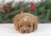 processed/578ec17b-f991-4ba1-93f5-ae89bd4d0b81/listing/83062401-93f0-47db-a766-3f4bca3222bc/e6a6ac41-b604-4e23-8ec7-1848aea1f2ad