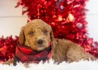 processed/578ec17b-f991-4ba1-93f5-ae89bd4d0b81/listing/899a9edc-a392-42ea-a44e-079ee3d08ccc/100d6c51-5493-4fc4-8e73-d1bbd3b79f31