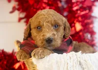 processed/578ec17b-f991-4ba1-93f5-ae89bd4d0b81/listing/899a9edc-a392-42ea-a44e-079ee3d08ccc/c95ad537-9791-4cb2-9114-8cd83b4f8c34