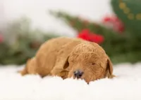 processed/578ec17b-f991-4ba1-93f5-ae89bd4d0b81/listing/9984a68a-7027-4d1f-a9a5-45ca4ec40633/aefbe31d-a343-46ec-a2b1-91725f1d6ea9