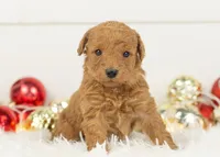 processed/578ec17b-f991-4ba1-93f5-ae89bd4d0b81/listing/9984a68a-7027-4d1f-a9a5-45ca4ec40633/c4625701-d7be-485d-b814-3595c95254e3