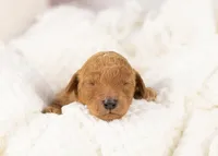 processed/578ec17b-f991-4ba1-93f5-ae89bd4d0b81/listing/9984a68a-7027-4d1f-a9a5-45ca4ec40633/eda270ac-509e-47a2-a09a-6853db2e5d4e