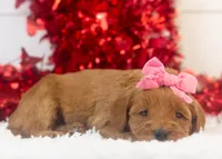 processed/578ec17b-f991-4ba1-93f5-ae89bd4d0b81/listing/ae4642a9-a7af-4b67-800e-d758967ce65b/171129dd-1a6e-4990-9366-3b664d566e3b