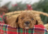 processed/578ec17b-f991-4ba1-93f5-ae89bd4d0b81/listing/ae4642a9-a7af-4b67-800e-d758967ce65b/48d03b55-68ef-4df5-b07f-02007bedbcd0