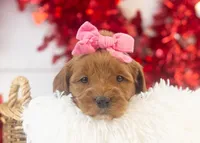 processed/578ec17b-f991-4ba1-93f5-ae89bd4d0b81/listing/ae4642a9-a7af-4b67-800e-d758967ce65b/5ffa1ba7-bf1d-42c9-8371-c1b441f4cbce