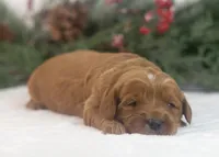 processed/578ec17b-f991-4ba1-93f5-ae89bd4d0b81/listing/ae4642a9-a7af-4b67-800e-d758967ce65b/78a05e88-5b69-4f60-92b6-280e06c1dcc2