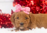 processed/578ec17b-f991-4ba1-93f5-ae89bd4d0b81/listing/ae4642a9-a7af-4b67-800e-d758967ce65b/b350e092-2bbe-47b3-a4b4-3212273e3b4d