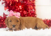 processed/578ec17b-f991-4ba1-93f5-ae89bd4d0b81/listing/ae4642a9-a7af-4b67-800e-d758967ce65b/e9d2ff4c-80ab-4dd8-b50d-e68ba4a87d27