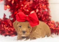 processed/578ec17b-f991-4ba1-93f5-ae89bd4d0b81/listing/b848960c-37ee-4985-a123-8f112db94461/098dd993-6c03-409d-ab89-baa4ead201f3