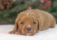 processed/578ec17b-f991-4ba1-93f5-ae89bd4d0b81/listing/b848960c-37ee-4985-a123-8f112db94461/388fe1f7-e6d5-401d-8e19-91093edc9b8a