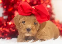 processed/578ec17b-f991-4ba1-93f5-ae89bd4d0b81/listing/b848960c-37ee-4985-a123-8f112db94461/4717aae2-6a8e-4d90-9f1f-5cc66ae973eb