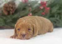 processed/578ec17b-f991-4ba1-93f5-ae89bd4d0b81/listing/b848960c-37ee-4985-a123-8f112db94461/89fb90f2-bcf5-4d61-9686-eaedf031b54e