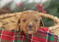 processed/578ec17b-f991-4ba1-93f5-ae89bd4d0b81/listing/b848960c-37ee-4985-a123-8f112db94461/d88d3ad6-8622-4828-b228-1cbd5f88afbc