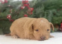 processed/578ec17b-f991-4ba1-93f5-ae89bd4d0b81/listing/b984f4d2-20fc-4683-aa67-938e025b816b/51c5a386-7e18-448a-954e-fecc6d9d7092