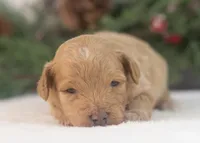 processed/578ec17b-f991-4ba1-93f5-ae89bd4d0b81/listing/b984f4d2-20fc-4683-aa67-938e025b816b/580ad602-63db-4c76-96e7-1d04e3e6e1fe