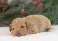 processed/578ec17b-f991-4ba1-93f5-ae89bd4d0b81/listing/b984f4d2-20fc-4683-aa67-938e025b816b/77dec865-9aa6-4078-a34f-299668eb5fba