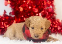 processed/578ec17b-f991-4ba1-93f5-ae89bd4d0b81/listing/b984f4d2-20fc-4683-aa67-938e025b816b/e638806a-72cc-4a9e-88eb-491b1827afec