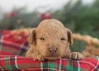 processed/578ec17b-f991-4ba1-93f5-ae89bd4d0b81/listing/b984f4d2-20fc-4683-aa67-938e025b816b/f7716f7d-989d-4eb5-a81b-32b693cfe59c