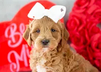 processed/578ec17b-f991-4ba1-93f5-ae89bd4d0b81/listing/cf8c9a00-015a-456d-8982-54ce68247e96/0778c798-fced-4326-9f65-955534d907dd