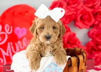 processed/578ec17b-f991-4ba1-93f5-ae89bd4d0b81/listing/cf8c9a00-015a-456d-8982-54ce68247e96/1c6eee56-9bd7-4481-b506-96e8e3d24105