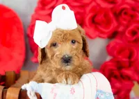 processed/578ec17b-f991-4ba1-93f5-ae89bd4d0b81/listing/d455a398-7570-48ad-aa8f-3cb470f0d495/f306dfa7-26c4-4d1e-921d-5b3e7c9c1428