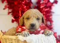 processed/578ec17b-f991-4ba1-93f5-ae89bd4d0b81/listing/f5c6a4af-adc7-473f-bf21-a449f0cb9ce1/0d114861-97cb-4f32-a263-196910fcc77d