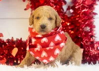 processed/578ec17b-f991-4ba1-93f5-ae89bd4d0b81/listing/f5c6a4af-adc7-473f-bf21-a449f0cb9ce1/891af71d-8136-4074-82ab-231402e7677d