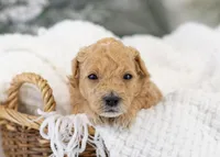 processed/578ec17b-f991-4ba1-93f5-ae89bd4d0b81/listing/fffd703e-292e-4f6f-bbe5-885cf02182ce/40bd616e-0c94-4a57-96f8-9339937ec921