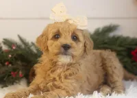 processed/578ec17b-f991-4ba1-93f5-ae89bd4d0b81/listing/fffd703e-292e-4f6f-bbe5-885cf02182ce/49842bfe-8a25-4e2e-be14-0681db1250ae