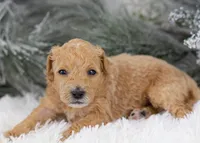 processed/578ec17b-f991-4ba1-93f5-ae89bd4d0b81/listing/fffd703e-292e-4f6f-bbe5-885cf02182ce/5252d70e-a5c0-41e0-ab7d-24bd6637ef46