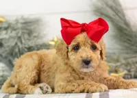 processed/578ec17b-f991-4ba1-93f5-ae89bd4d0b81/listing/fffd703e-292e-4f6f-bbe5-885cf02182ce/67e71107-cf97-4267-bb62-51a097961c66