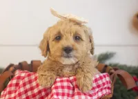 processed/578ec17b-f991-4ba1-93f5-ae89bd4d0b81/listing/fffd703e-292e-4f6f-bbe5-885cf02182ce/7ba558d5-87c0-490d-b64a-4a17eebb3fb7