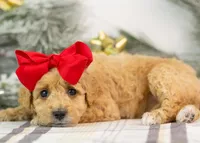 processed/578ec17b-f991-4ba1-93f5-ae89bd4d0b81/listing/fffd703e-292e-4f6f-bbe5-885cf02182ce/94e77e32-628a-4865-95b4-7eb5923a2168