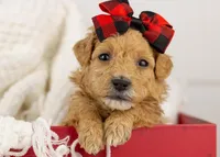 processed/578ec17b-f991-4ba1-93f5-ae89bd4d0b81/listing/fffd703e-292e-4f6f-bbe5-885cf02182ce/9598a592-7610-42fd-b32b-39a1f3700c9a