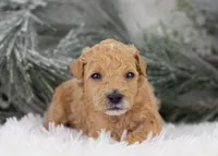 processed/578ec17b-f991-4ba1-93f5-ae89bd4d0b81/listing/fffd703e-292e-4f6f-bbe5-885cf02182ce/9b32de7d-528d-4ef5-b84c-d90d2a85fb5b