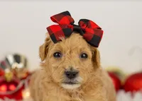 processed/578ec17b-f991-4ba1-93f5-ae89bd4d0b81/listing/fffd703e-292e-4f6f-bbe5-885cf02182ce/be906f3c-be03-4d9a-b204-213a4869ed5d