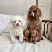 processed/57932db2-3c05-415a-9dd1-742b70b43222/facility/27f2054e-b1eb-40be-b9bf-99951d81229f